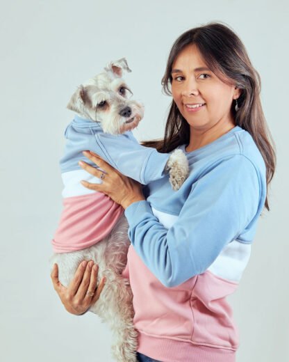 Perro Snauzer