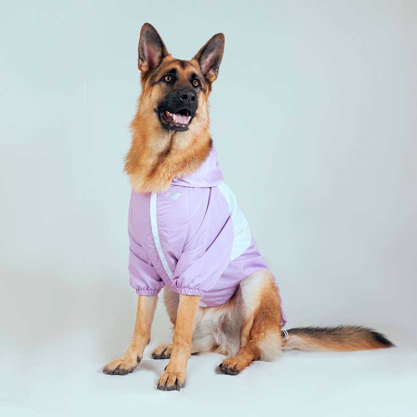 Chaqueta Mascota Lila