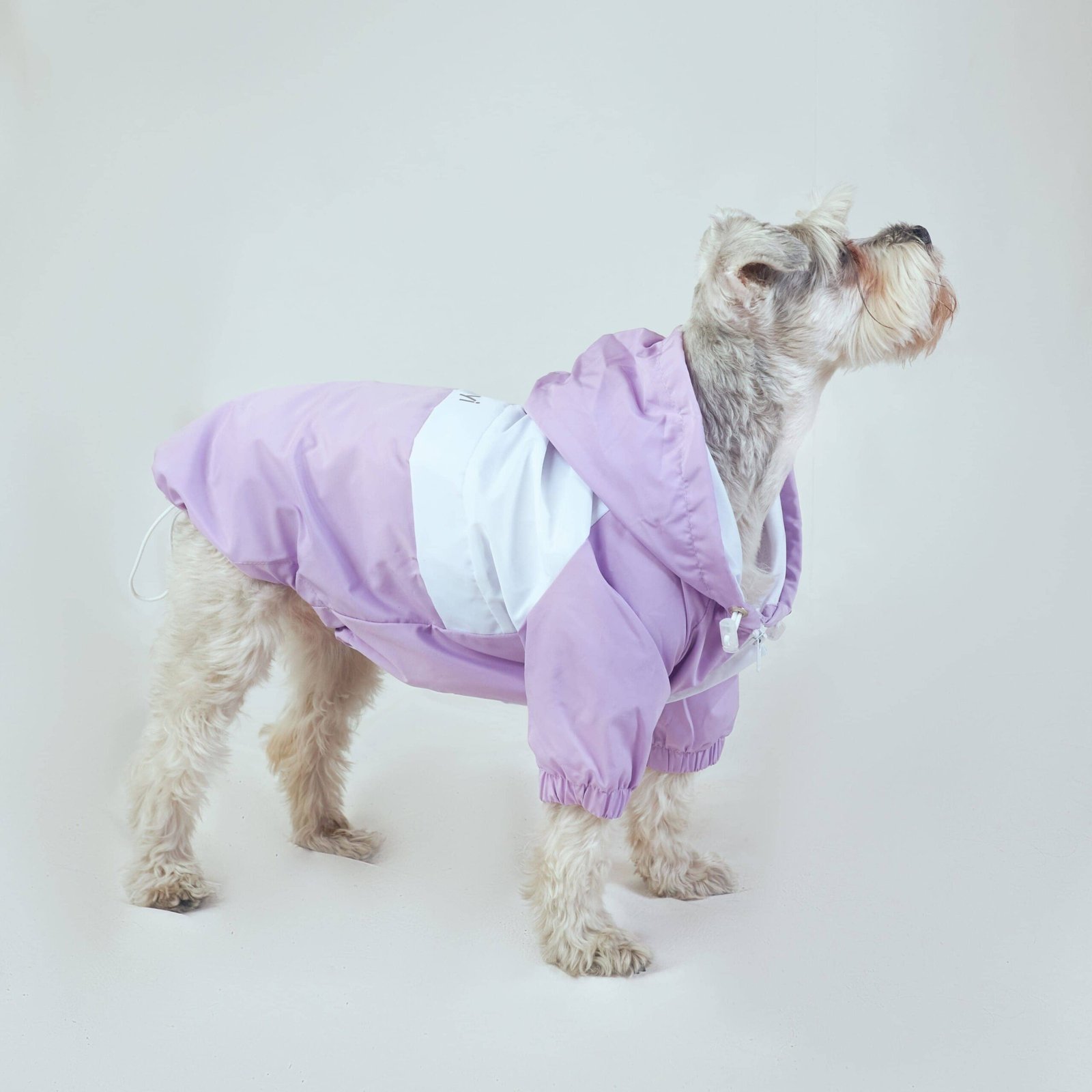 Chaqueta Mascota Lila - Imagen 3