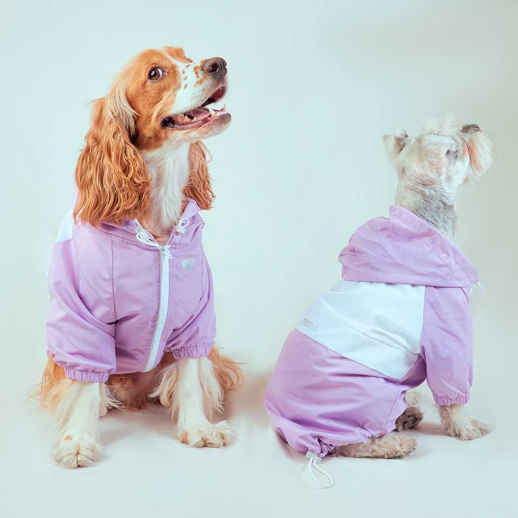 Chaqueta Mascota Lila - Imagen 2