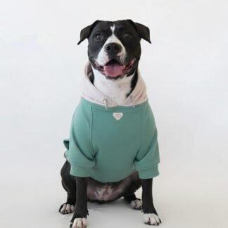 Hoodie Mascota / Verde Oliva