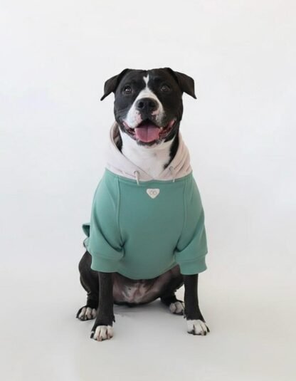 Hoodie Mascota / Verde Oliva