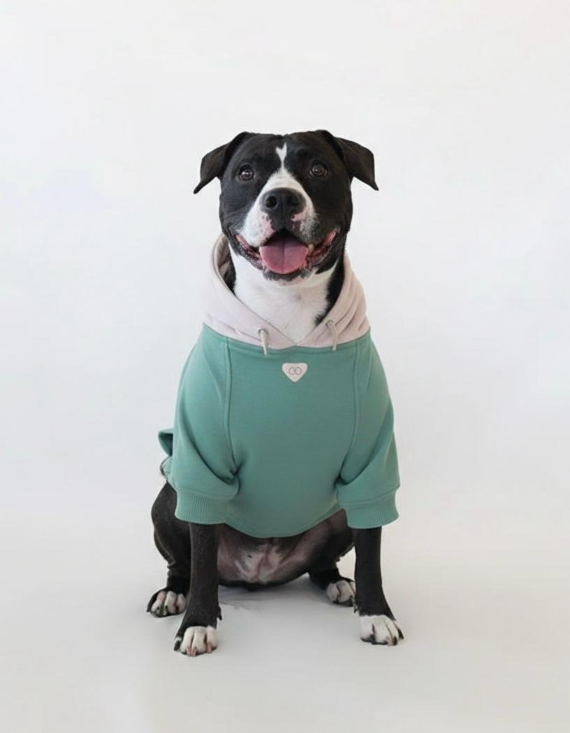 Hoodie Mascota / Verde Oliva