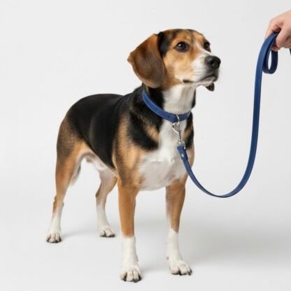 Correa de Cuero Azul