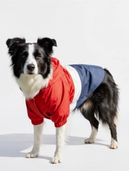 Chaqueta Mascota Rojo Azul