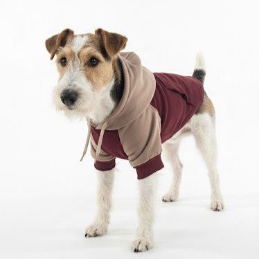 Hoodie Mascota / Vinotinto Cafe