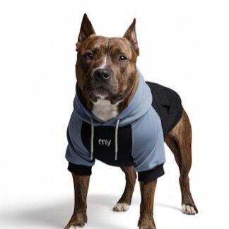 Hoodie Mascota / Azul