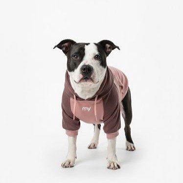 Hoodie Mascota / Rosado Uva