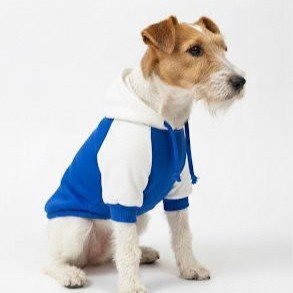 Hoodie Mascota / Azul Blanco - Imagen 3