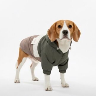 Chaqueta Mascota Verde Cafe - 2XL