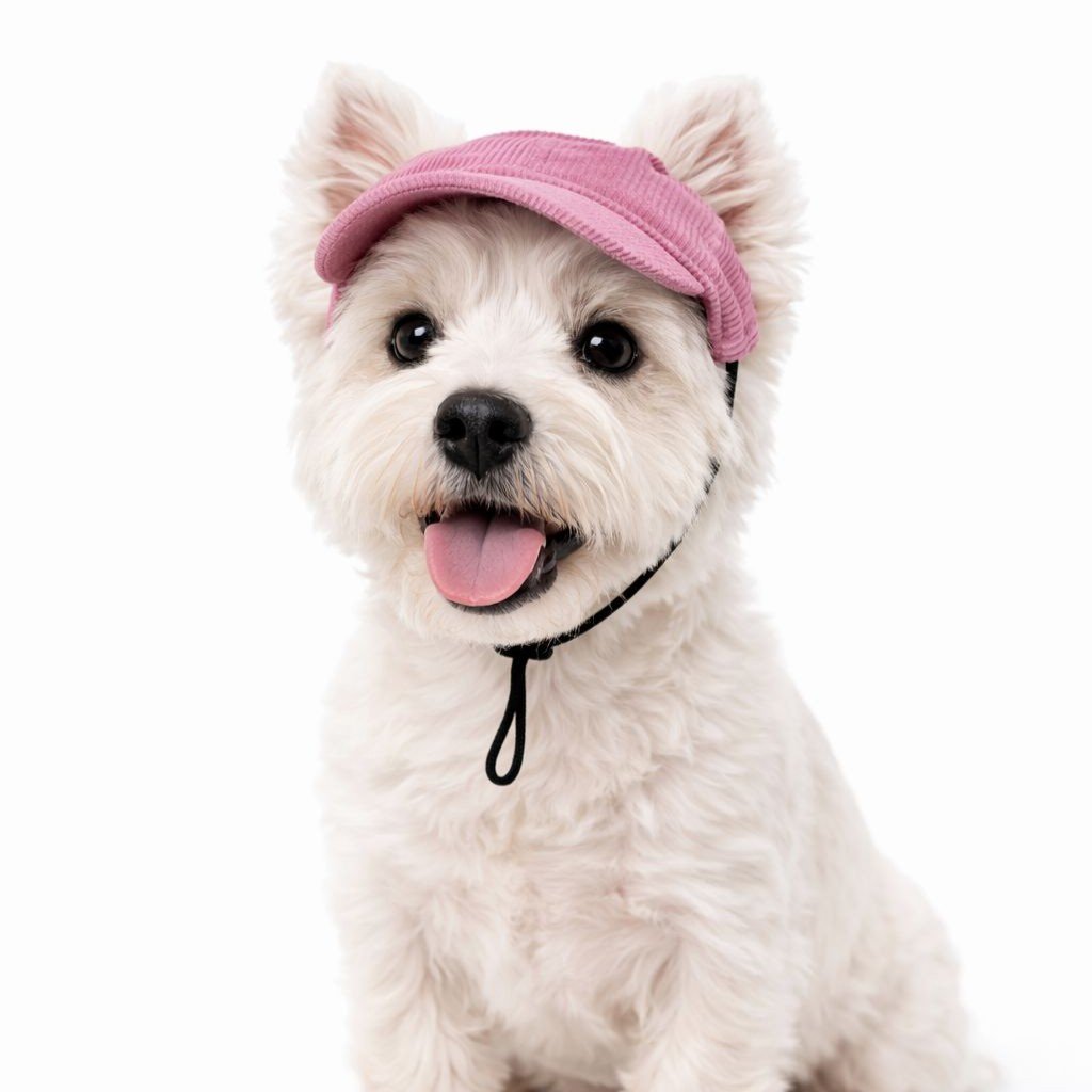 Gorra Mascota Love Magenta