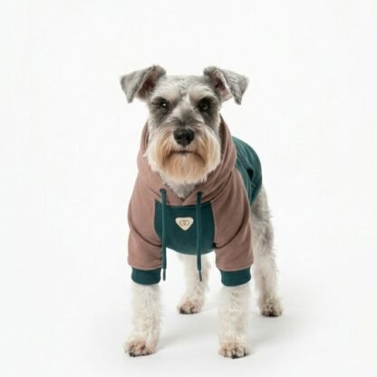 Hoodie Mascota Verde / Camel