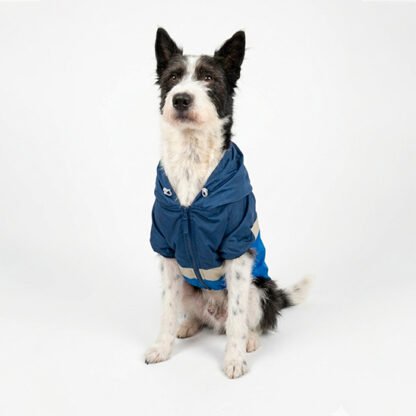 Chaqueta Mascota Azul