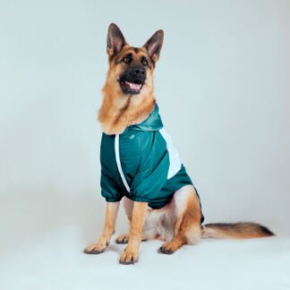 Chaqueta Masco Verde Botella