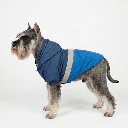 Chaqueta Mascota Azul - Imagen 2