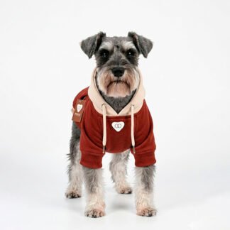 Hoodie Mascota Terracota