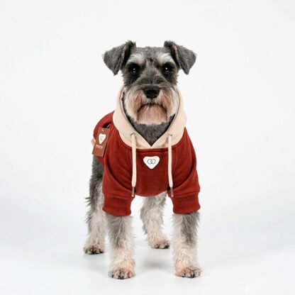 Hoodie Mascota Terracota