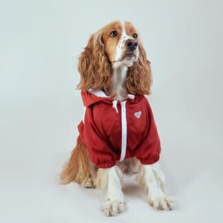 Chaqueta Mascota Terracota