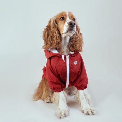 Chaqueta Mascota Terracota