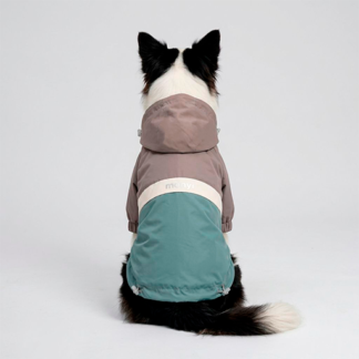 Chaqueta Mascota Gris - Pistacho