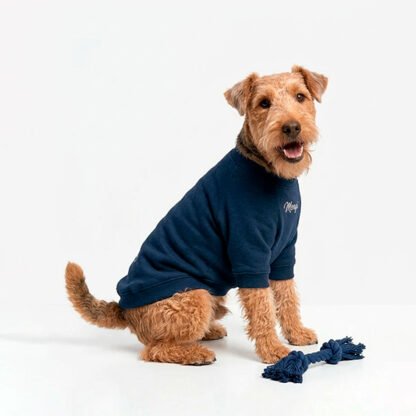 Saco Azul oscuro Mascota