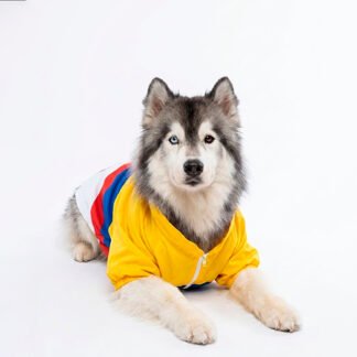Chaqueta Mascota Edición Colombia