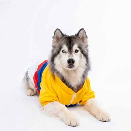 Chaqueta Mascota Edición Colombia