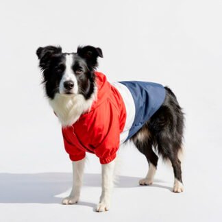Chaqueta Impermeable Mascota Rojo Azul