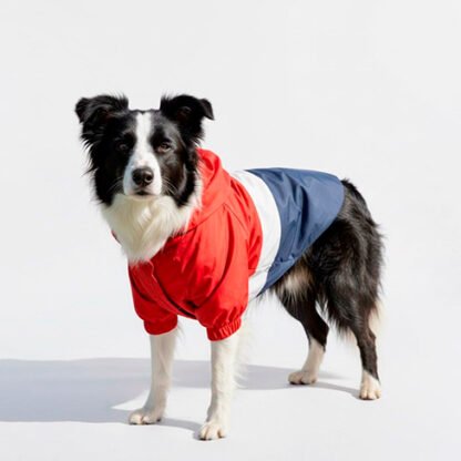 Chaqueta Impermeable Mascota Rojo Azul